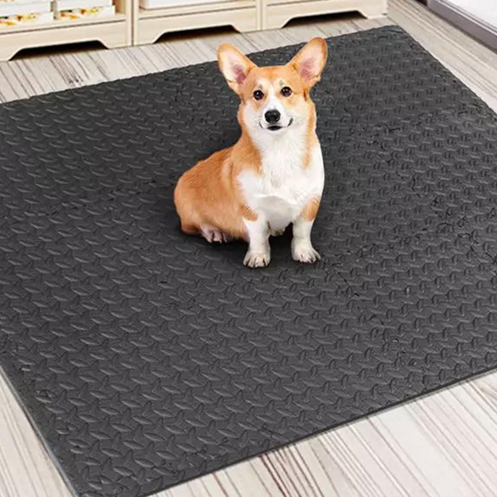 Gym Tiles 12 Pieces Interlocki - огляд і ціна Home Gym For Toddlers