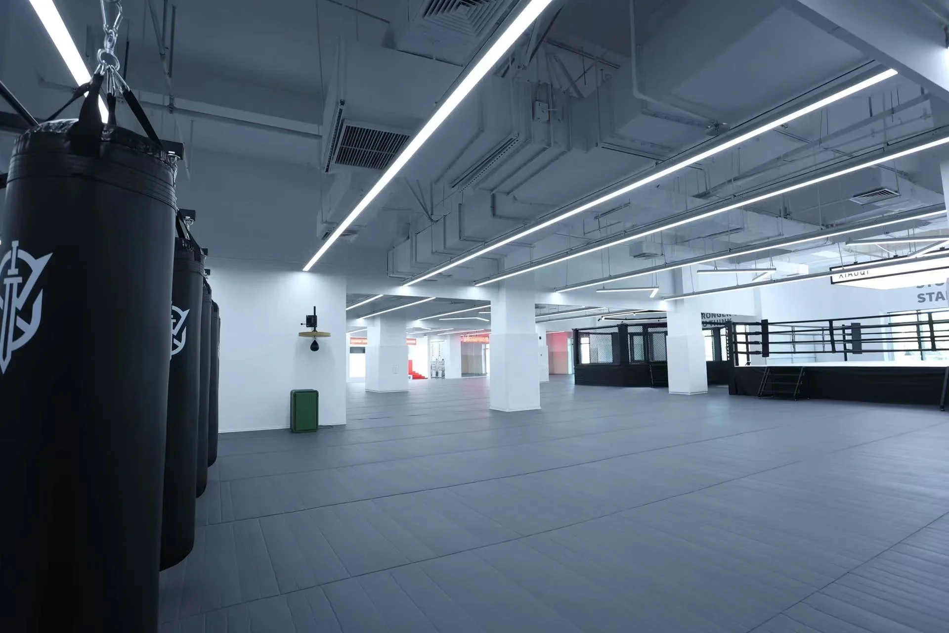 Wood Bamboo Mma Commercial Gra - огляд і ціна Speed Bag Boxing